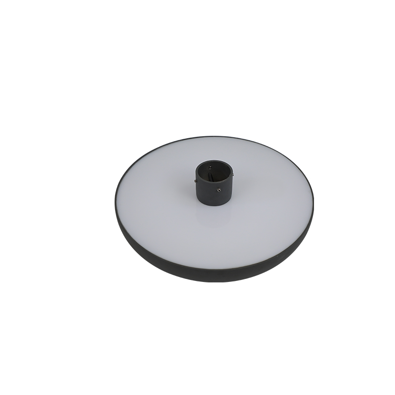 GOLDEN MUSHROOM - 图片 4