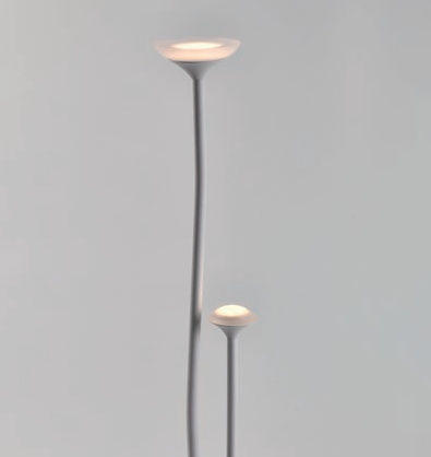 IMG_8d05b1bec0fa4c61866a8ad1620ce553